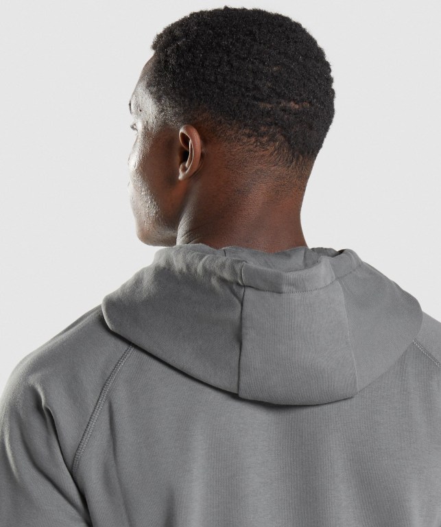 Gymshark Sharkhead Infill Men's Hoodies Grey | UAE-16PQLX