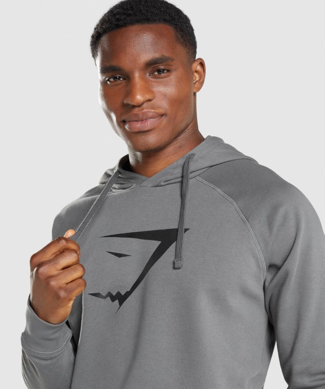 Gymshark Sharkhead Infill Men's Hoodies Grey | UAE-16PQLX