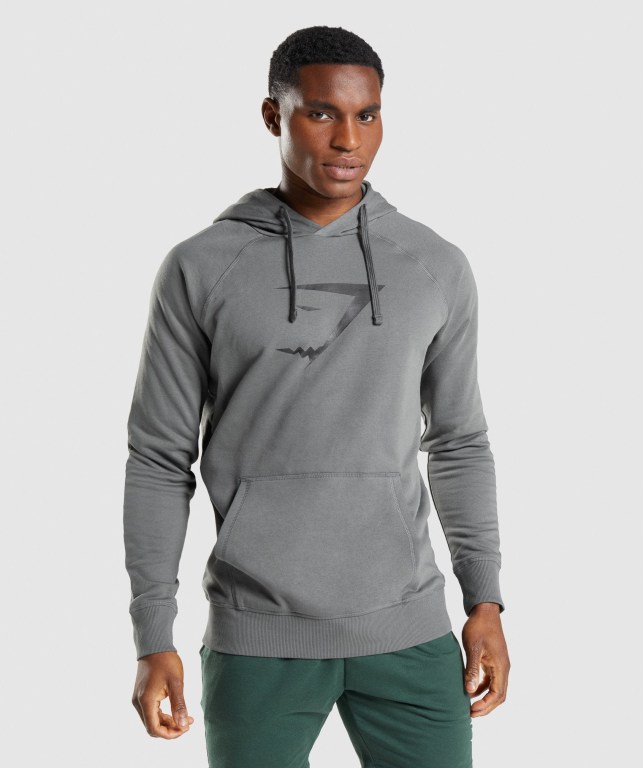 Gymshark Sharkhead Infill Men\'s Hoodies Grey | UAE-16PQLX