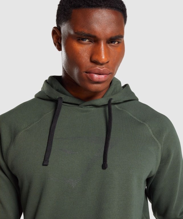 Gymshark Sharkhead Infill Men's Hoodies Dark Green | UAE-16RLWS