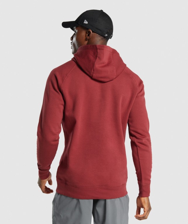 Gymshark Sharkhead Infill Men's Hoodies Burgundy | UAE-23DRIT