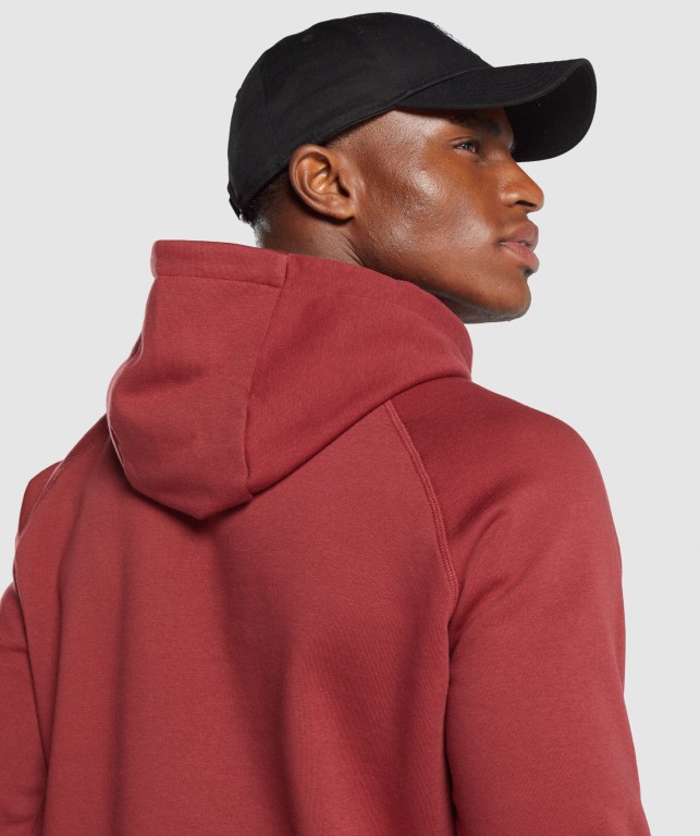 Gymshark Sharkhead Infill Men's Hoodies Burgundy | UAE-23DRIT