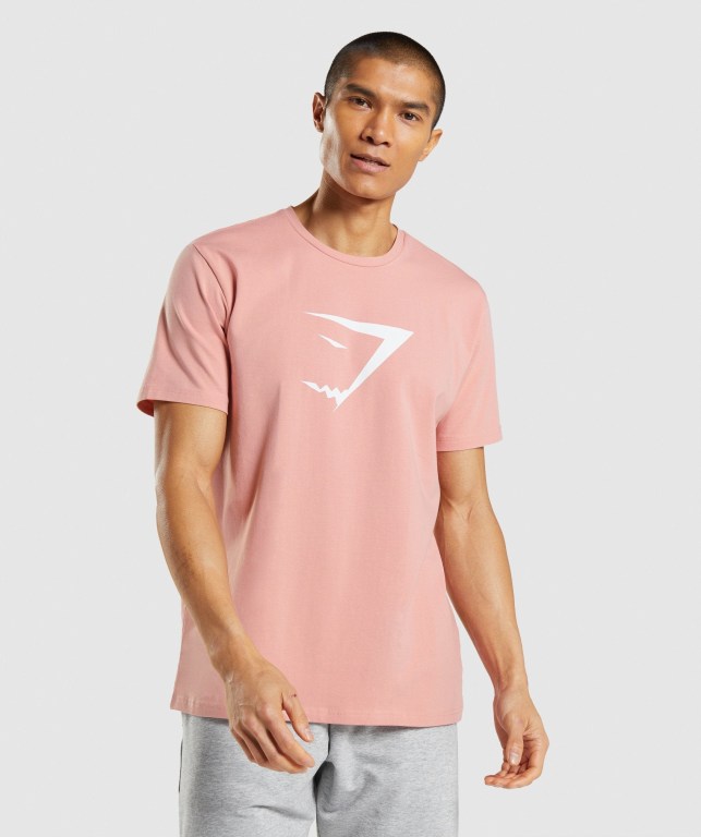 Gymshark Sharkhead Infill Men\'s T Shirts Pink | UAE-16BZGI