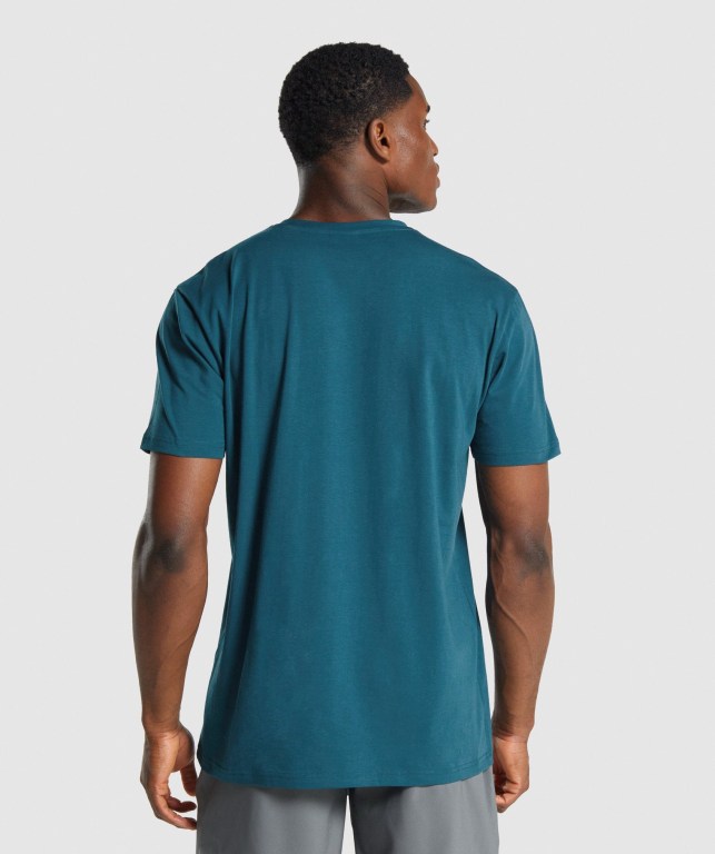 Gymshark Sharkhead Infill Men's T Shirts Turquoise | UAE-53VJAF