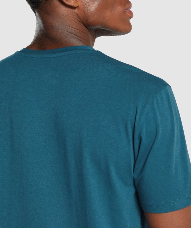 Gymshark Sharkhead Infill Men's T Shirts Turquoise | UAE-53VJAF