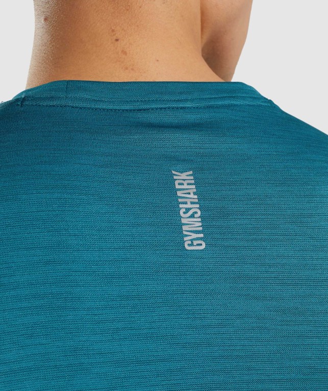 Gymshark Speed Men's T Shirts Turquoise / Turquoise | UAE-73AGSE