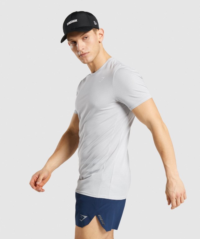 Gymshark Sports Men's T Shirts Light Grey | UAE-71QKXT