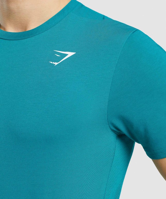 Gymshark Sports Men's T Shirts Turquoise | UAE-65SGDI