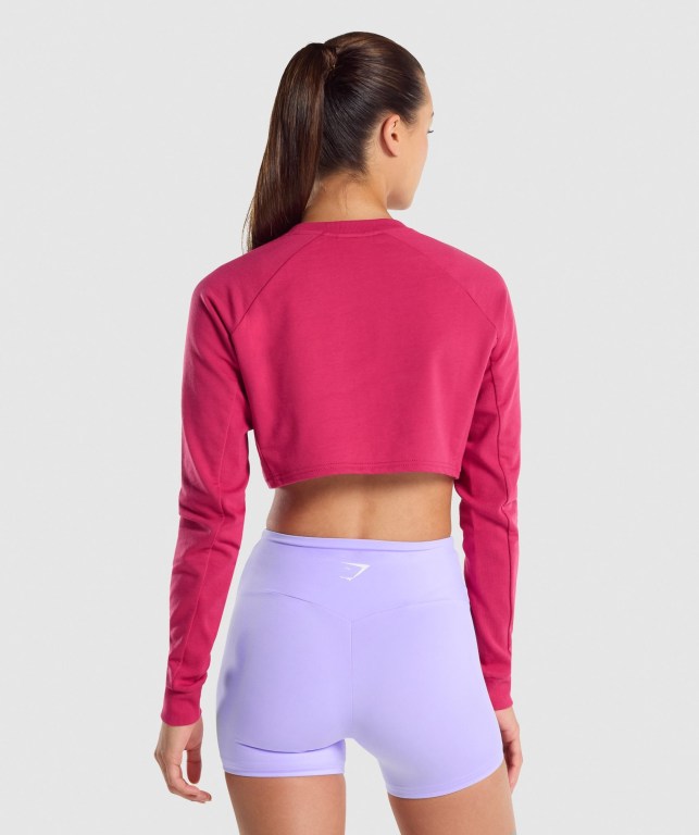 Gymshark Training Cropped Sweater Women's Hoodies Pink | UAE-05ANKU