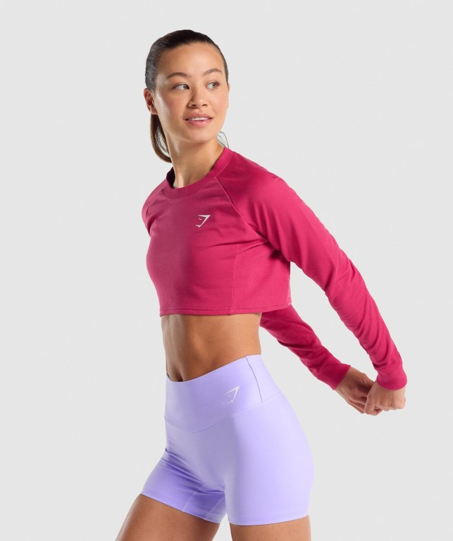 Gymshark Training Cropped Sweater Women's Hoodies Pink | UAE-05ANKU