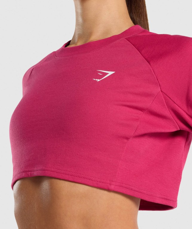 Gymshark Training Cropped Sweater Women's Hoodies Pink | UAE-05ANKU