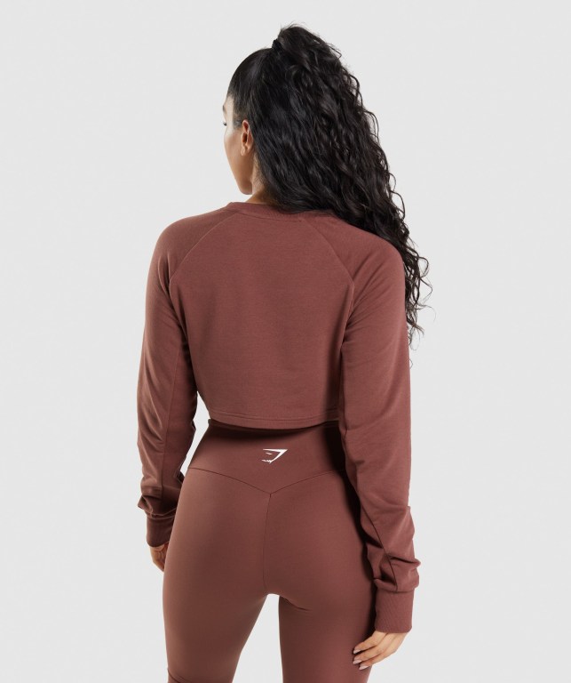 Gymshark Training Cropped Sweater Women's Hoodies Pink Brown | UAE-06UHYJ