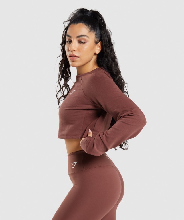 Gymshark Training Cropped Sweater Women's Hoodies Pink Brown | UAE-06UHYJ