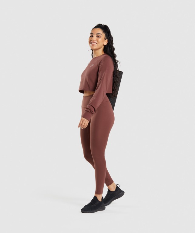 Gymshark Training Cropped Sweater Women's Hoodies Pink Brown | UAE-06UHYJ