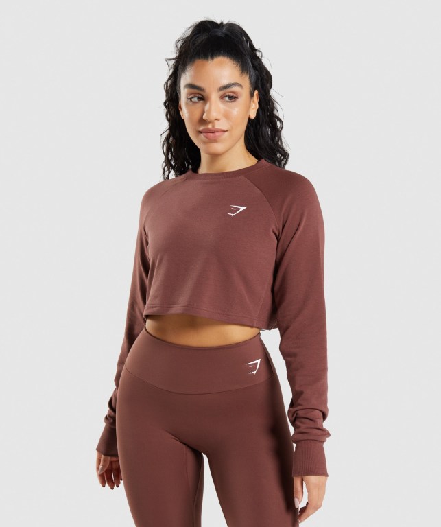 Gymshark Training Cropped Sweater Women\'s Hoodies Pink Brown | UAE-06UHYJ