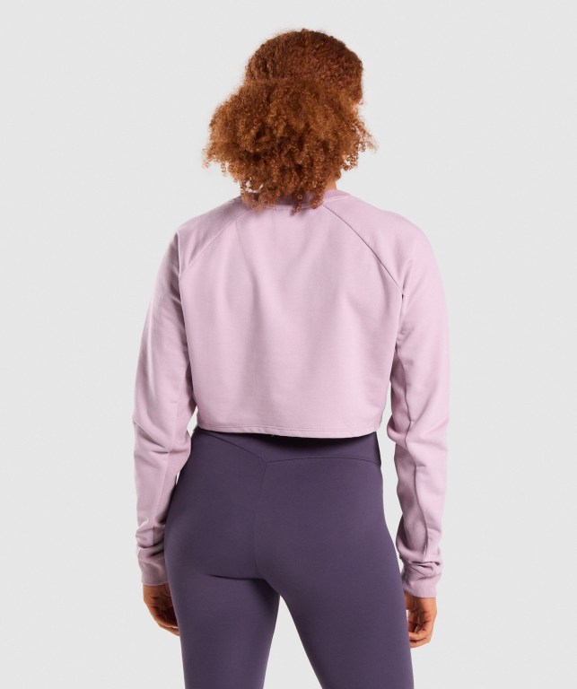 Gymshark Training Cropped Sweater Women's Hoodies Light Purple | UAE-15FBNQ