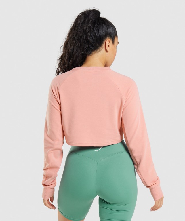 Gymshark Training Cropped Sweater Women's Hoodies Pink | UAE-51SVAP