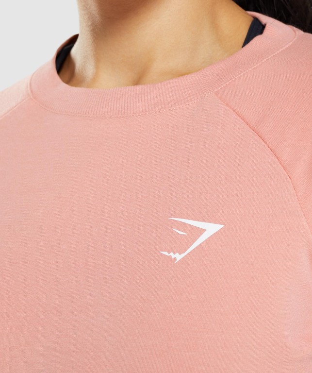 Gymshark Training Cropped Sweater Women's Hoodies Pink | UAE-51SVAP