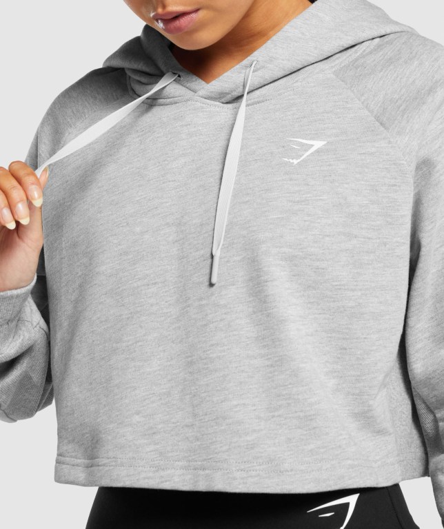 Gymshark Training Cropped Women's Hoodies Light Grey | UAE-34DQKA