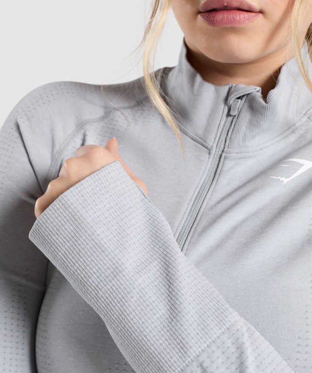 Gymshark Vital Seamless 2.0 1/2 Zip Women's Hoodies Light Grey | UAE-50FVTN