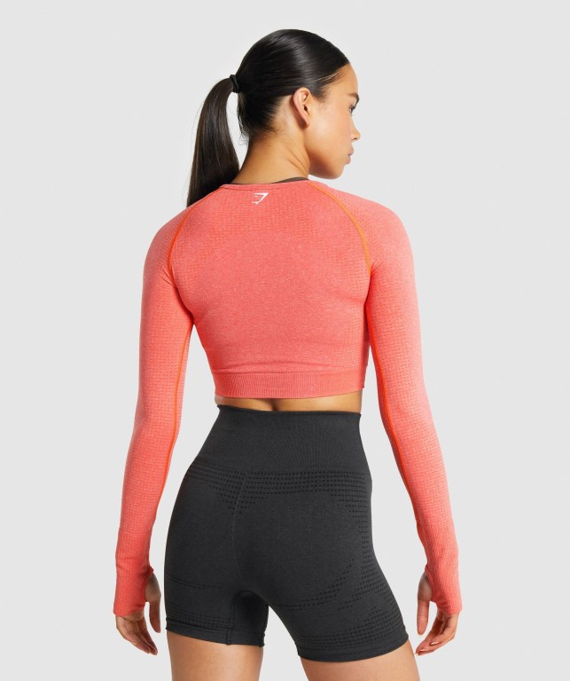 Gymshark Vital Seamless 2.0 Crop Top Women's Sweatshirts Orange | UAE-18BHPR