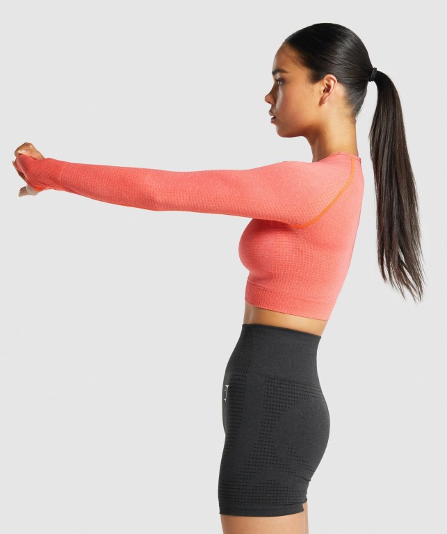 Gymshark Vital Seamless 2.0 Crop Top Women's Sweatshirts Orange | UAE-18BHPR