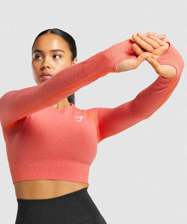 Gymshark Vital Seamless 2.0 Crop Top Women's Sweatshirts Orange | UAE-18BHPR