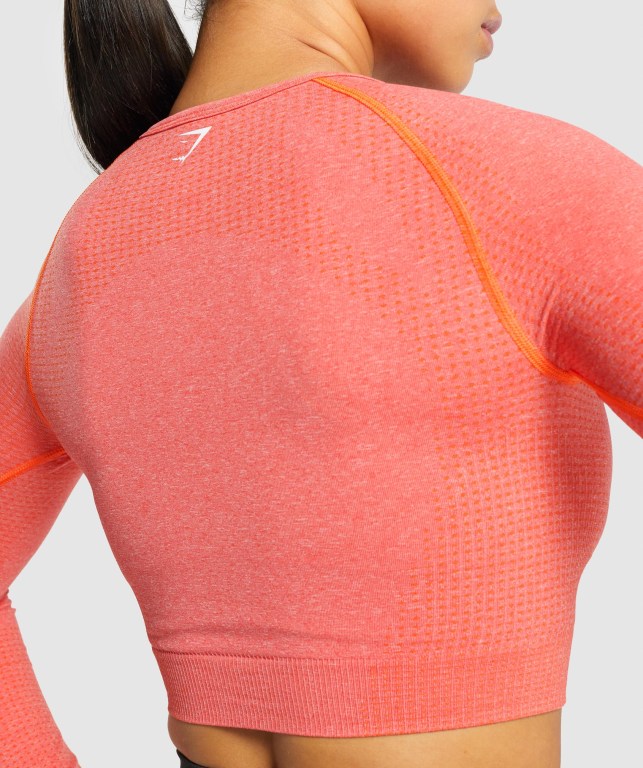 Gymshark Vital Seamless 2.0 Crop Top Women's Sweatshirts Orange | UAE-18BHPR