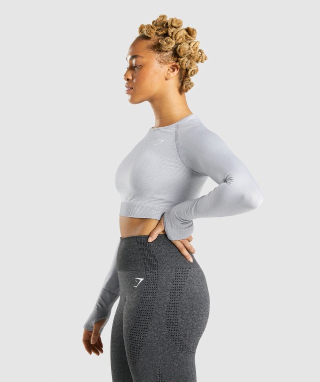 Gymshark Vital Seamless 2.0 Crop Top Women's Sweatshirts Light Grey | UAE-31VSRW