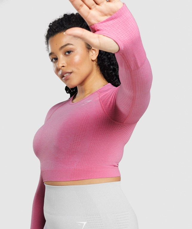 Gymshark Vital Seamless 2.0 Crop Top Women's T Shirts Pink | UAE-52RGAK