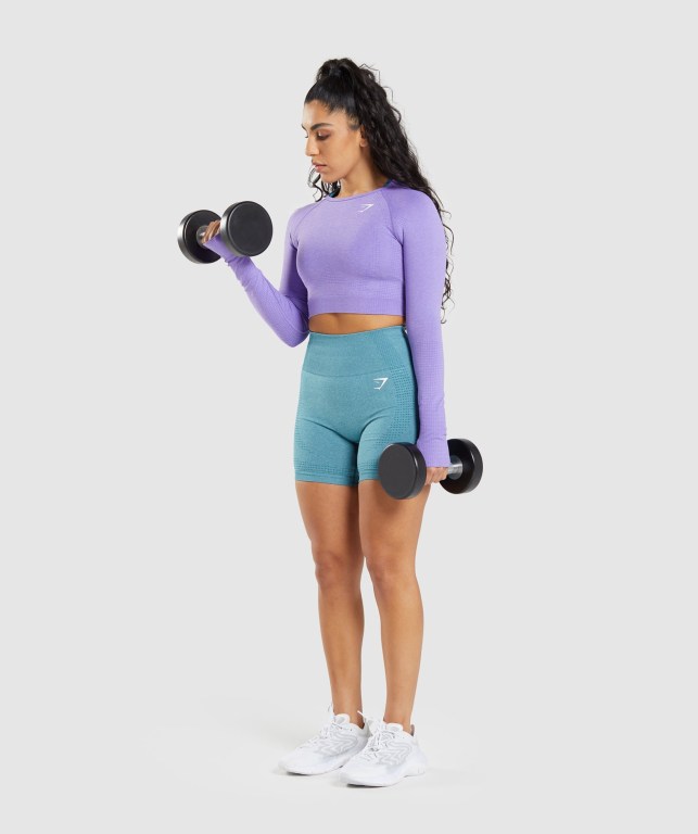 Gymshark Vital Seamless 2.0 Crop Top Women's T Shirts Light Purple | UAE-67NLWR