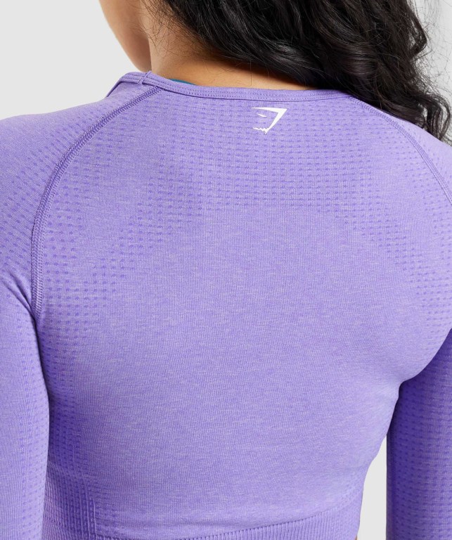 Gymshark Vital Seamless 2.0 Crop Top Women's T Shirts Light Purple | UAE-67NLWR