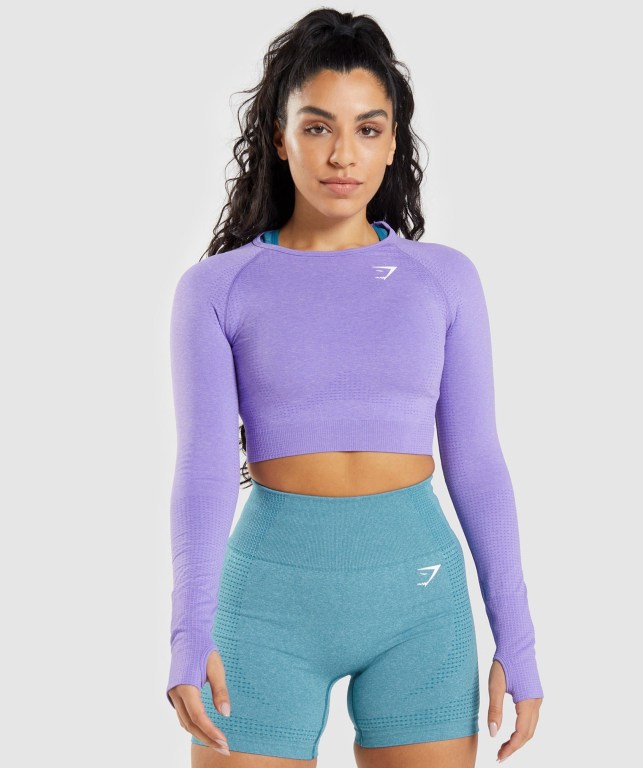 Gymshark Vital Seamless 2.0 Crop Top Women\'s T Shirts Light Purple | UAE-67NLWR