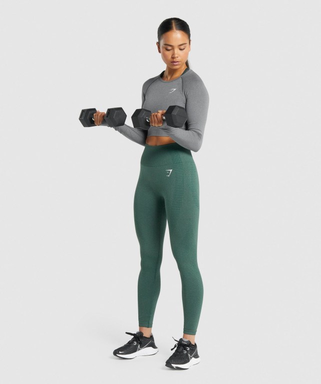 Gymshark Vital Seamless 2.0 Crop Top Women's T Shirts Grey | UAE-68RNAP