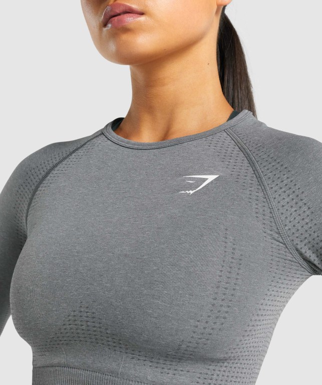 Gymshark Vital Seamless 2.0 Crop Top Women's T Shirts Grey | UAE-68RNAP