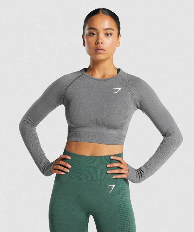 Gymshark Vital Seamless 2.0 Crop Top Women\'s T Shirts Grey | UAE-68RNAP