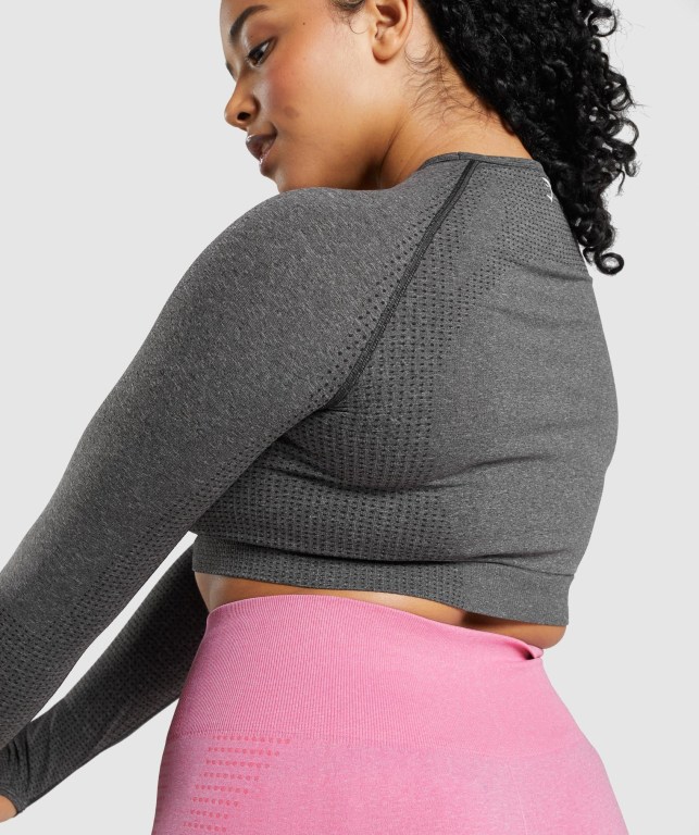 Gymshark Vital Seamless 2.0 Crop Top Women's Sweatshirts Grey | UAE-73VDUO