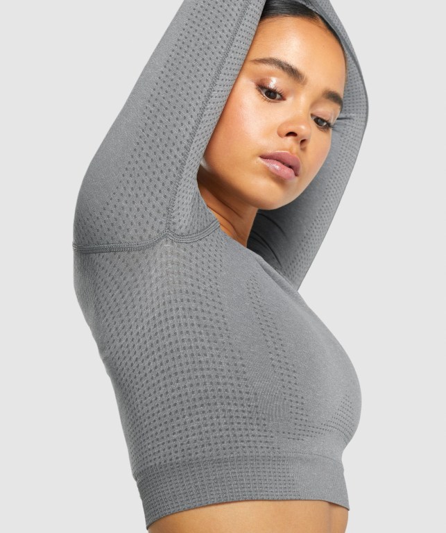 Gymshark Vital Seamless 2.0 Crop Top Women's Sweatshirts Grey | UAE-84KMYG