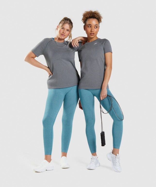 Gymshark Vital Seamless 2.0 Light Women's T Shirts Grey | UAE-04EONU