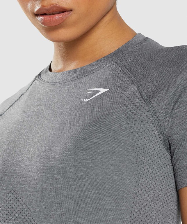 Gymshark Vital Seamless 2.0 Light Women's T Shirts Grey | UAE-04EONU