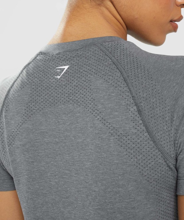 Gymshark Vital Seamless 2.0 Light Women's T Shirts Grey | UAE-04EONU