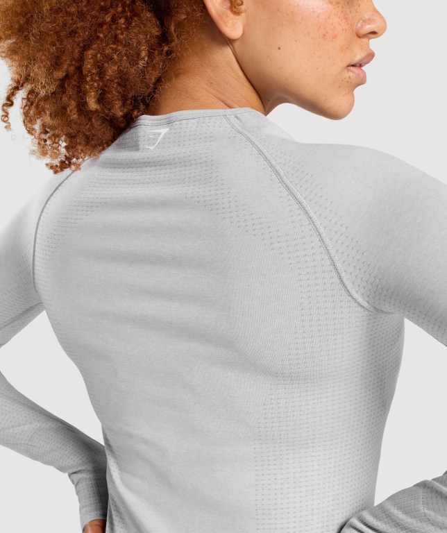 Gymshark Vital Seamless 2.0 Top Women's T Shirts Light Grey | UAE-81MDQS