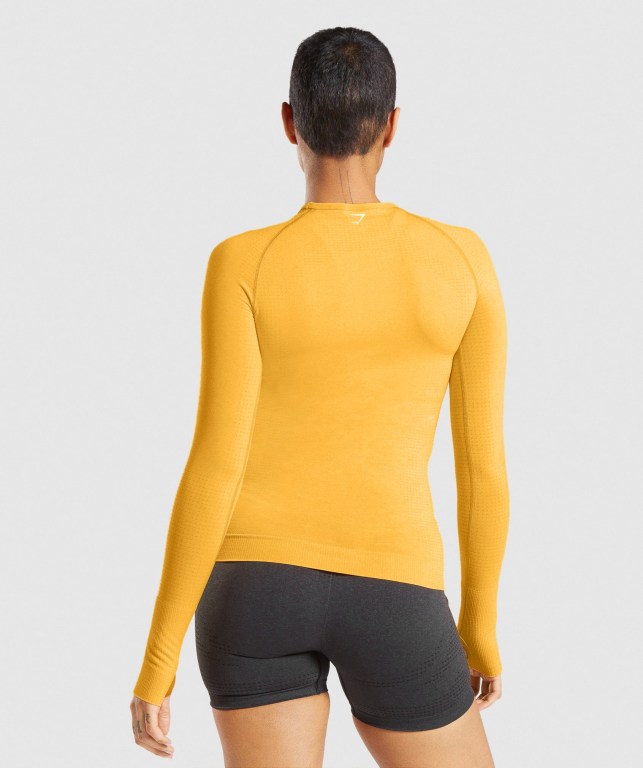 Gymshark Vital Seamless 2.0 Top Women's T Shirts Yellow | UAE-98FPDW