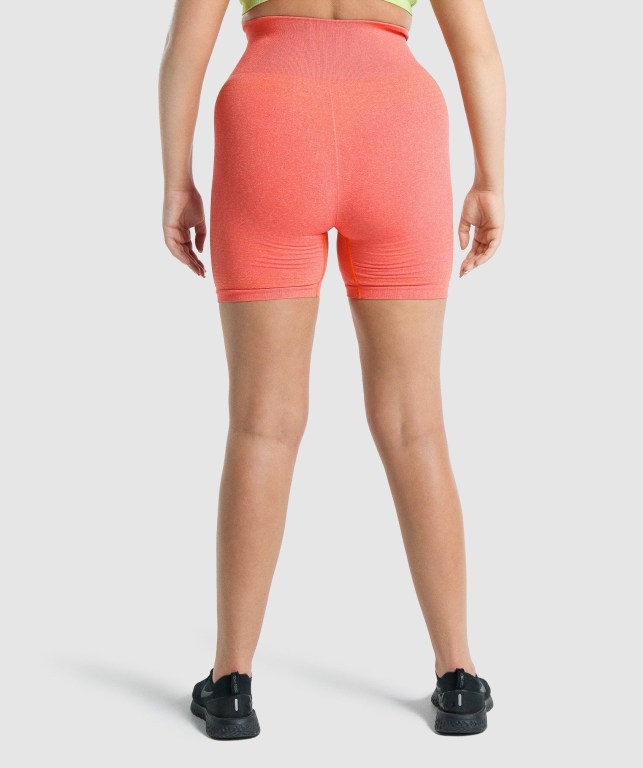 Gymshark Vital Seamless 2.0 Women's Shorts Orange | UAE-13ZTFE