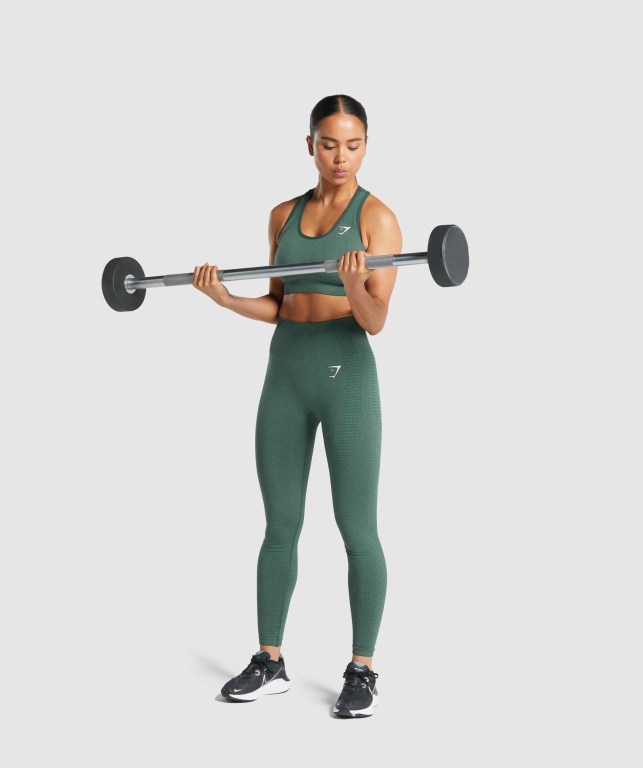 Gymshark Vital Seamless 2.0 Women's Sports Bra Dark Green | UAE-68NHTW