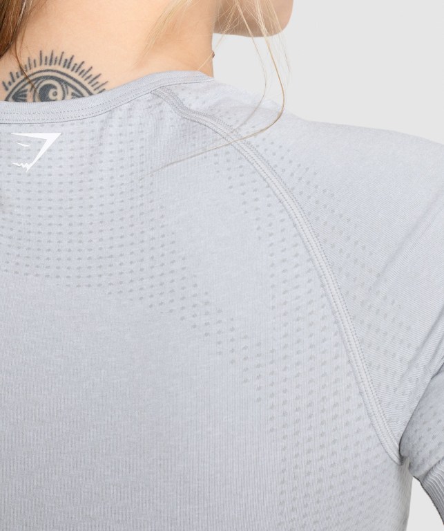 Gymshark Vital Seamless 2.0 Women's T Shirts Light Grey | UAE-85VGNW