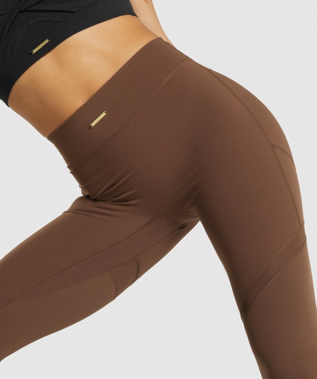 Gymshark Whitney Mesh High Waisted Women's Leggings Brown | UAE-52YJQS