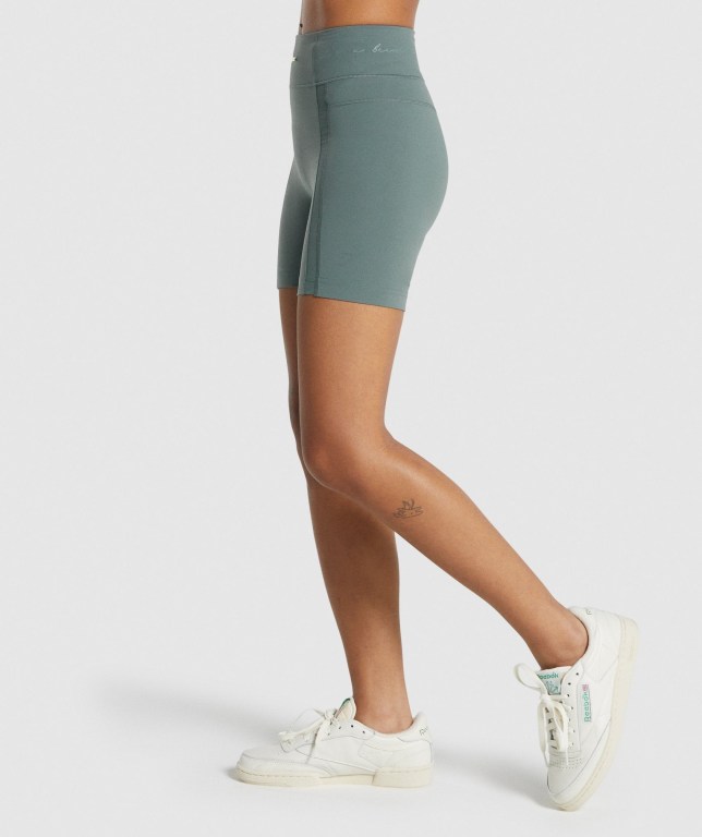 Gymshark Whitney Mesh Women's Shorts Green | UAE-01TXCZ