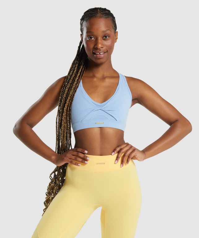 Gymshark Whitney Mesh Women\'s Sports Bra Blue | UAE-60DUGA