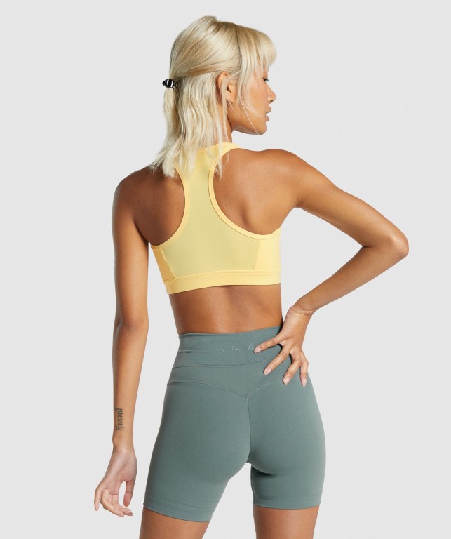 Gymshark Whitney Mesh Women's Sports Bra Yellow | UAE-82XKZD